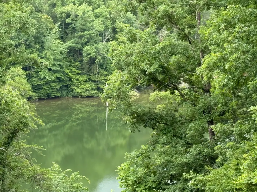Lots 21 and 22 Laurel Cove Road, London, KY 40744 - #2
