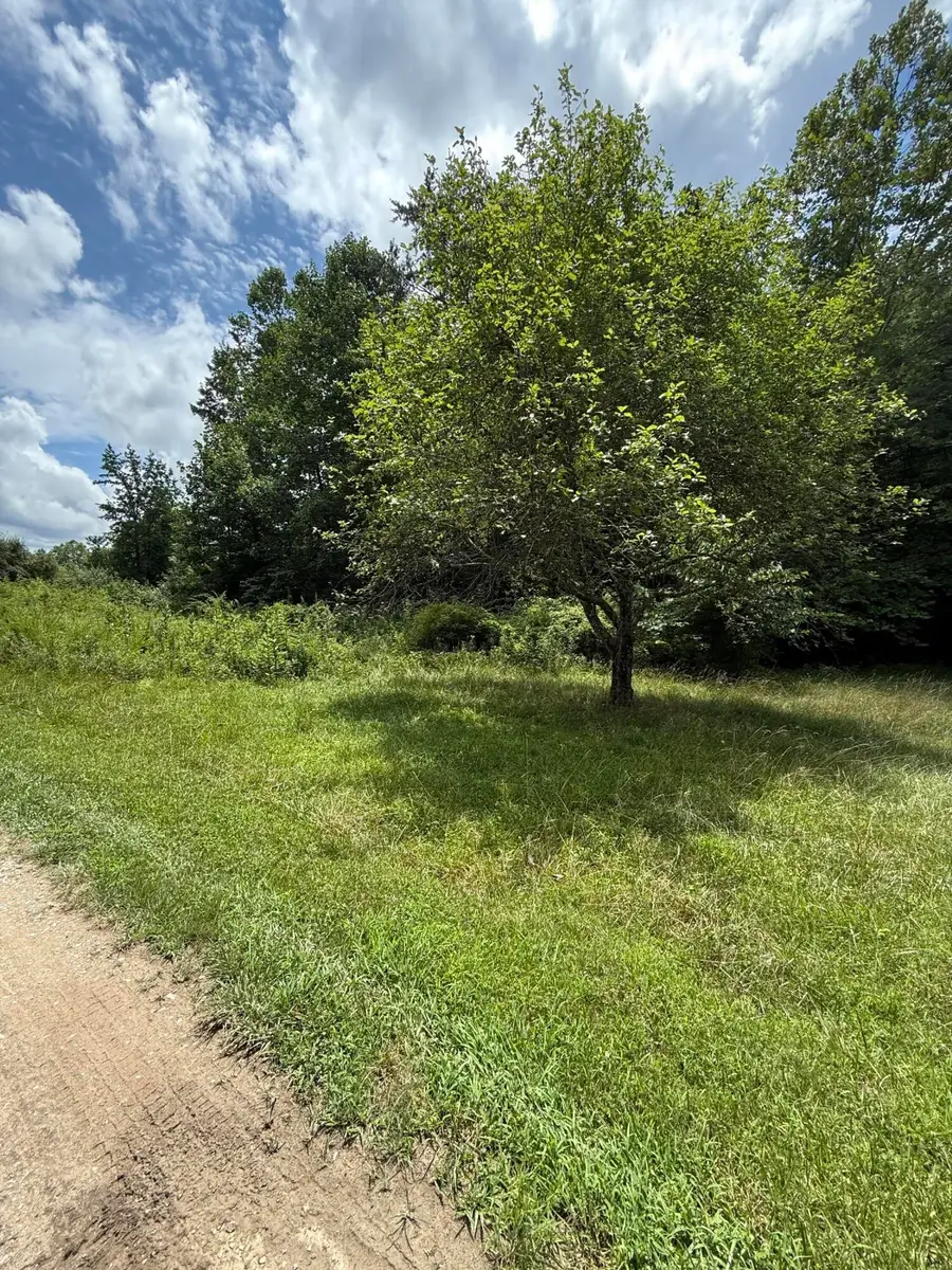 9999 Hwy 6 Aunt Kates Branch, Woodbine, KY 40771 - #3