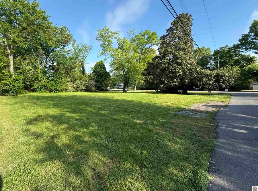 805 Sycamore Street, Murray, KY 42071 - #2