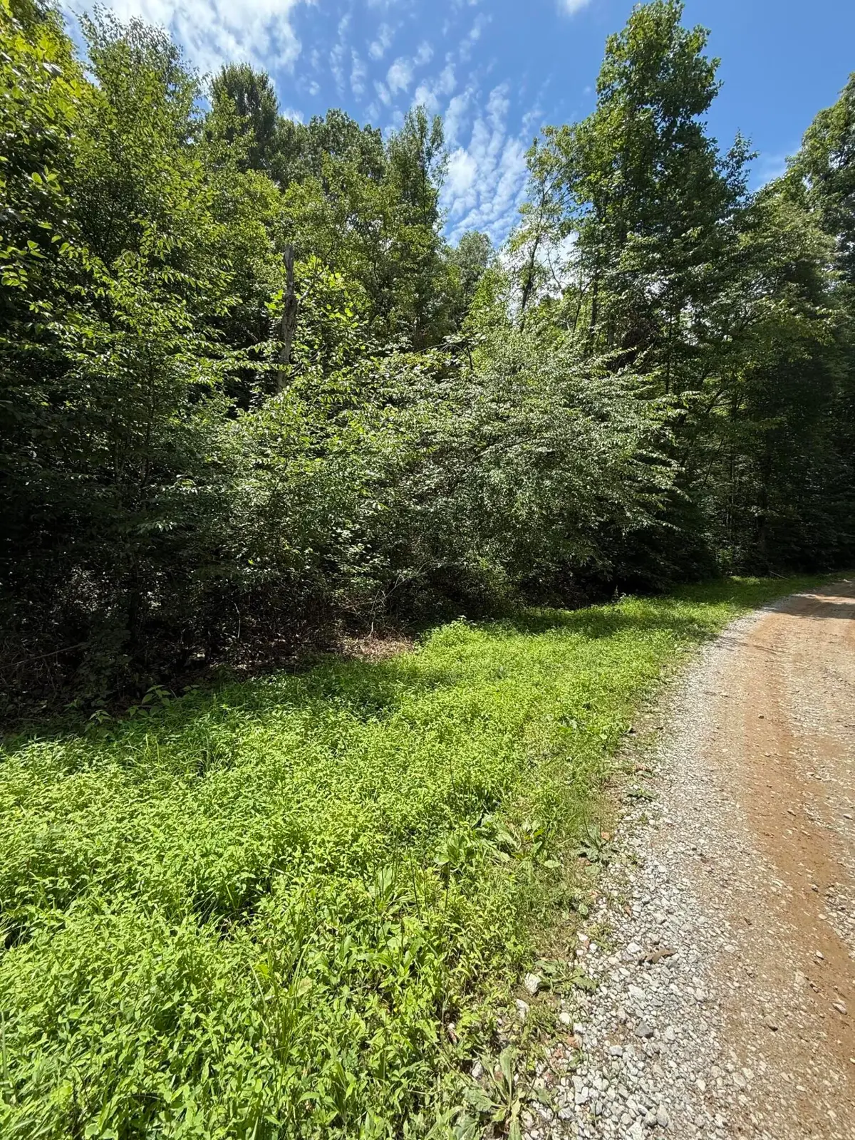 9999 Hwy 6 Big Indian Creek Road, Woodbine, KY 40771 - #1