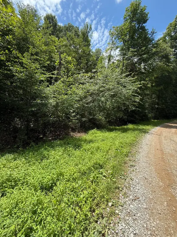 9999 Hwy 6 Big Indian Creek Road, Woodbine, KY 40771