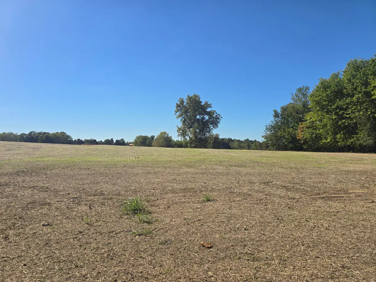 Tract IV N State Route 295, Kuttawa, KY 42055 - #1