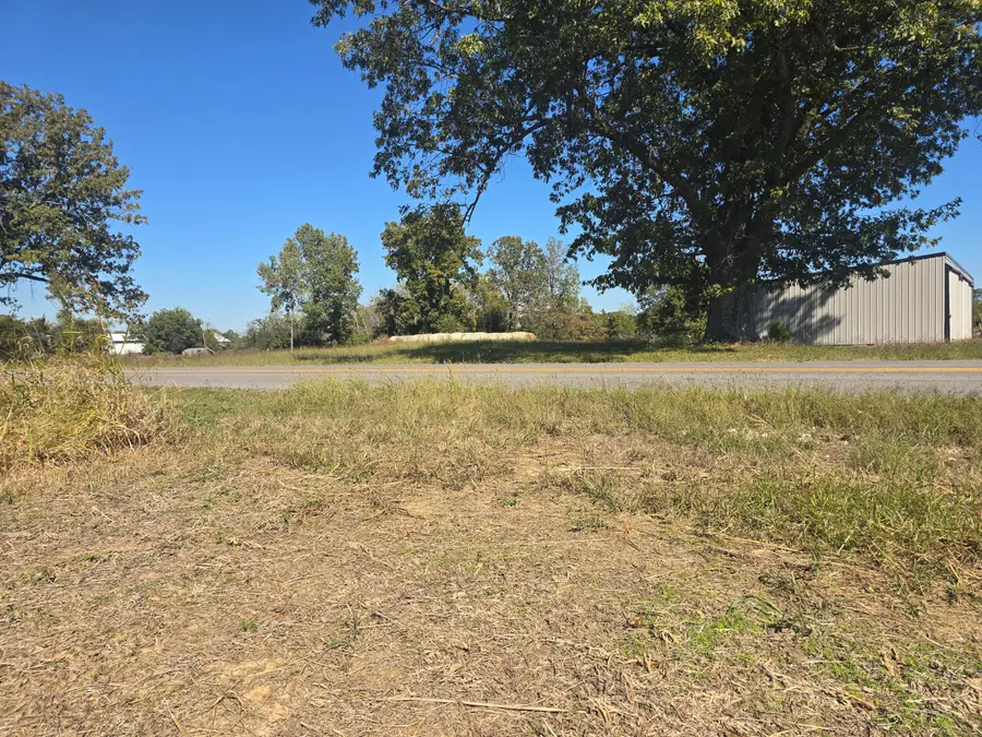 Tract IV N State Route 295, Kuttawa, KY 42055 - #3