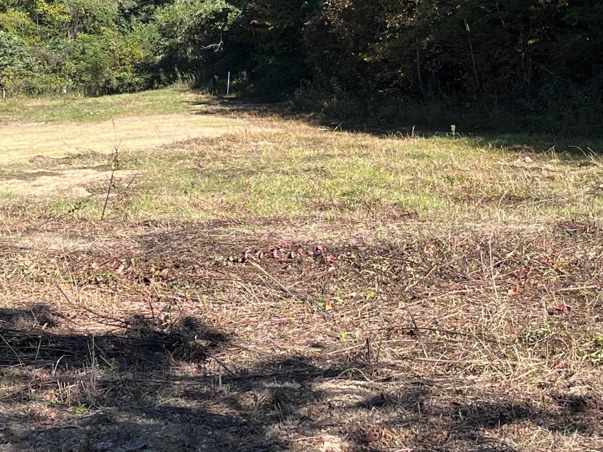 492 Lowder Fork, South Shore, KY 41175 - #1