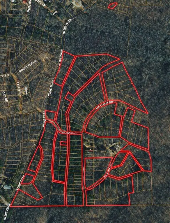 0 Kline Trail, New Concord, KY 42076
