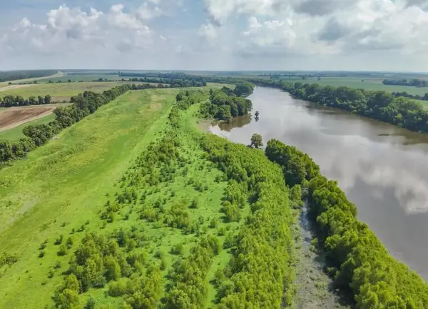 000 Sutton Road, Hickman, KY 42050