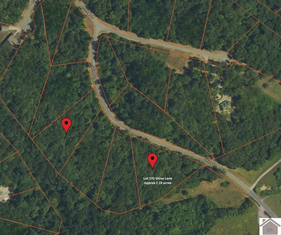 170 Shine Lane, Murray, KY 42071 - #2