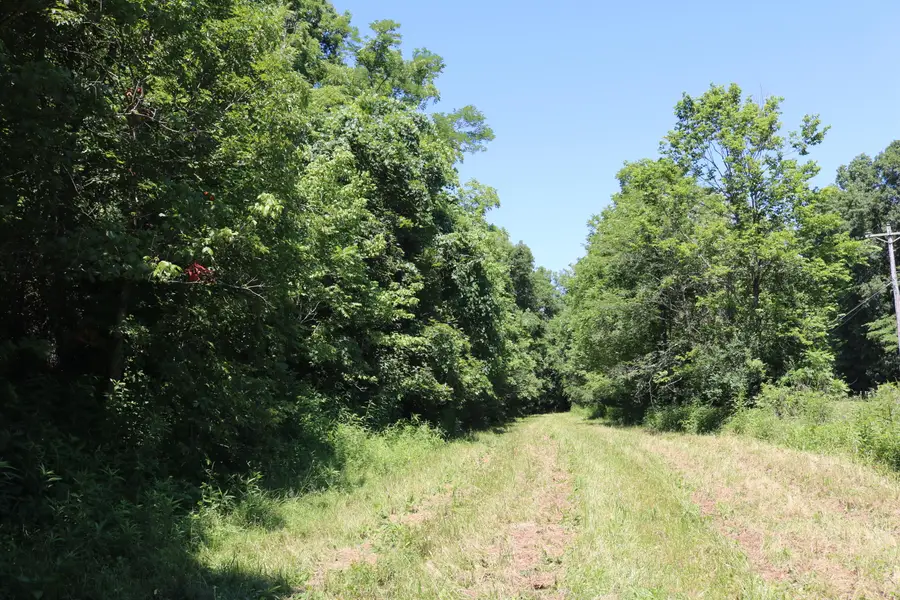 1-A Dog Walk Road, Carlisle, KY 40311 - #3