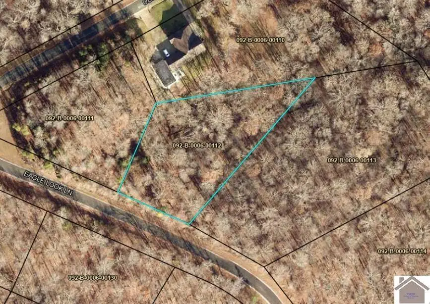 112 Eagle Look Lane, Murray, KY 42071 - #2