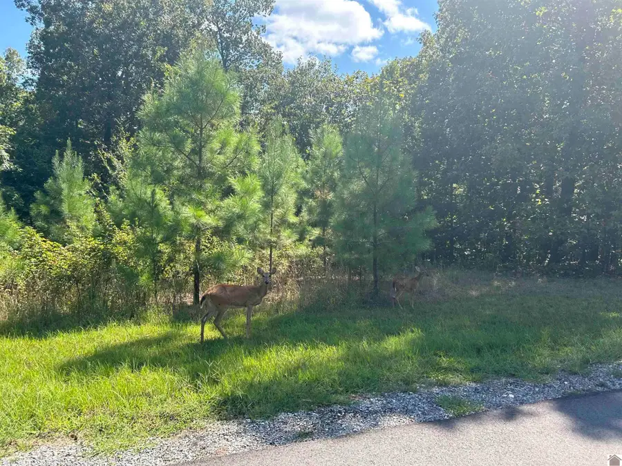 151 Centerview Road, Murray, KY 42071 - #3