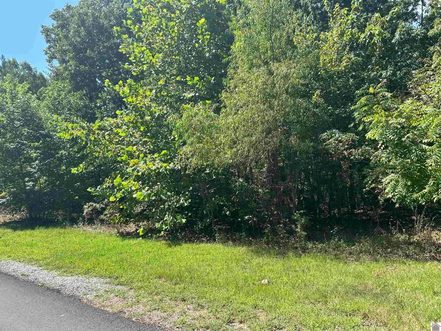 140 Centerview Road, Murray, KY 42071 - #2