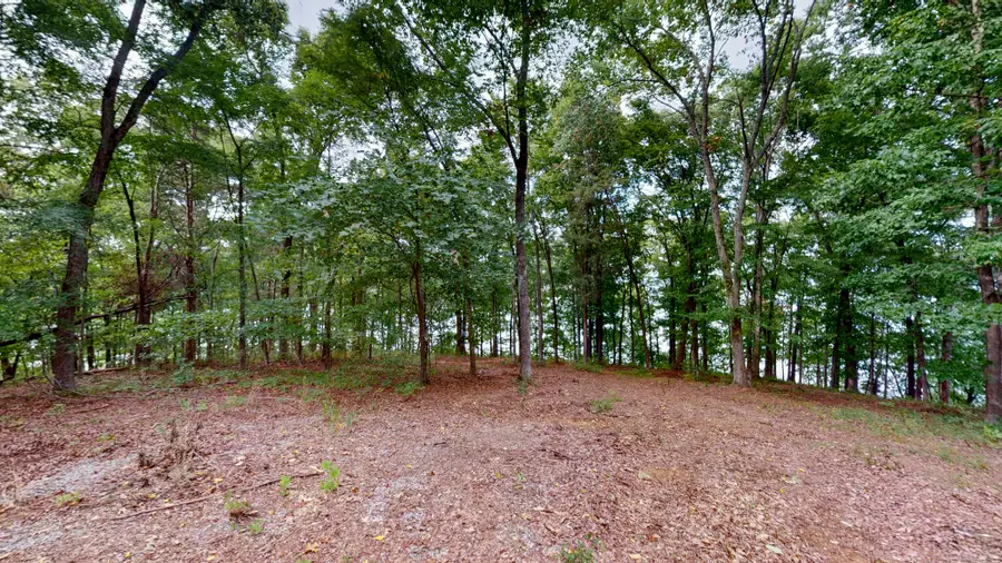 11 Tow Lane, Murray, KY 42071 - #2