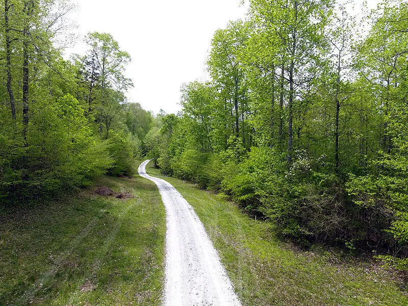 Tract 14 Dogwood Drive, Whitley City, KY 42653 - #2