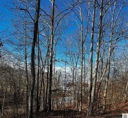Lot 36 Canton Heights 2 Circle, Cadiz, KY 42211