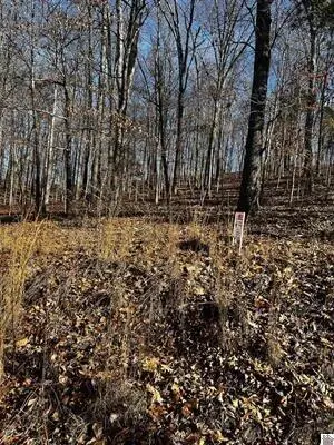 Lot 36 Canton Heights 2 Circle, Cadiz, KY 42211 - #2