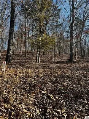 Lot 36 Canton Heights 2 Circle, Cadiz, KY 42211 - #3