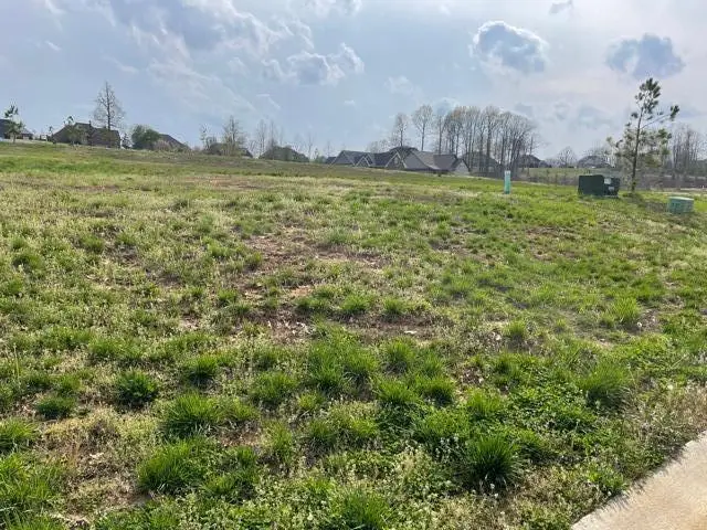 105 Low Ridge Lane Lane, Paducah, KY 42003 - #3
