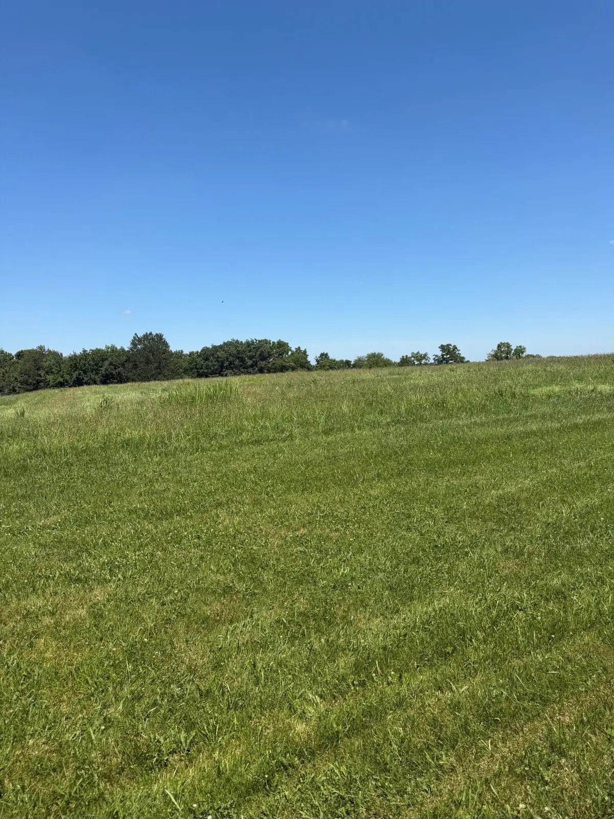 405 Arrowhead Springs Lane, Versailles, KY 40383 - #1