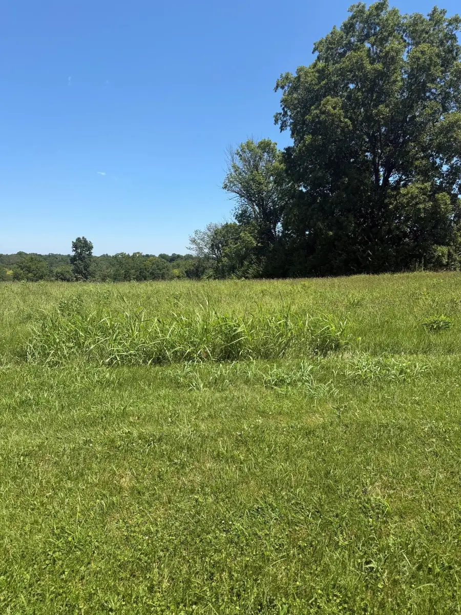 405 Arrowhead Springs Lane, Versailles, KY 40383 - #3