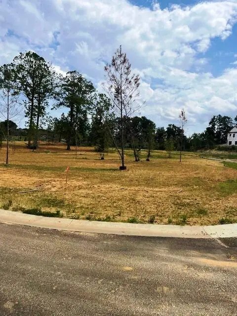 225 Hidden Valley Drive, Paducah, KY 42003 - #3