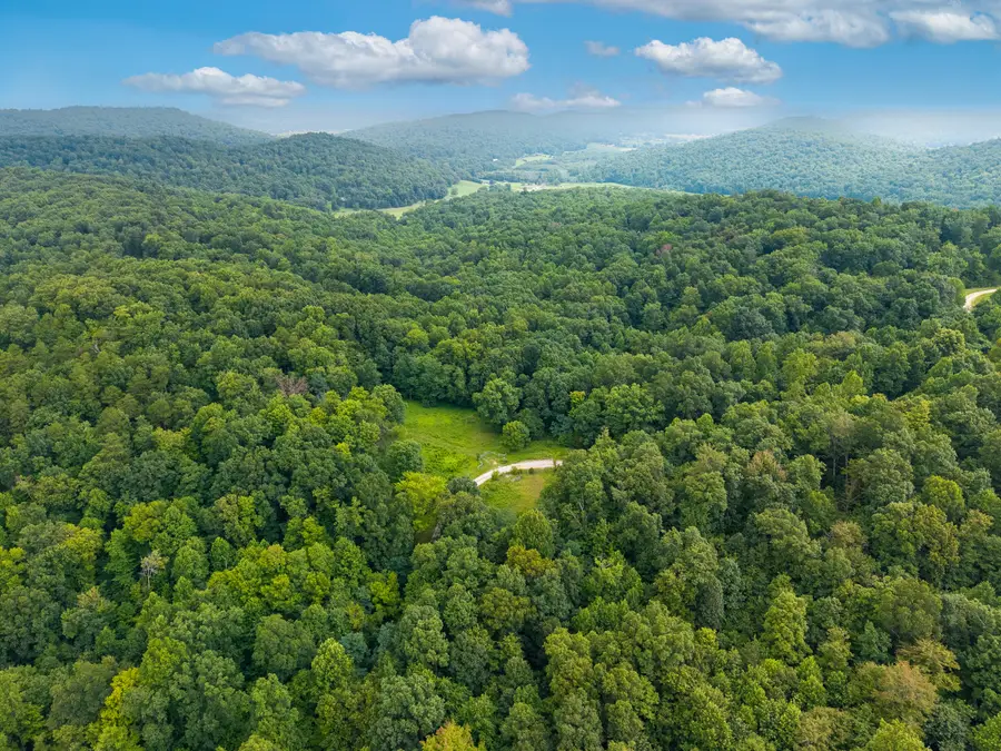 0 Shepperd Lane, Monticello, KY 42633 - #3