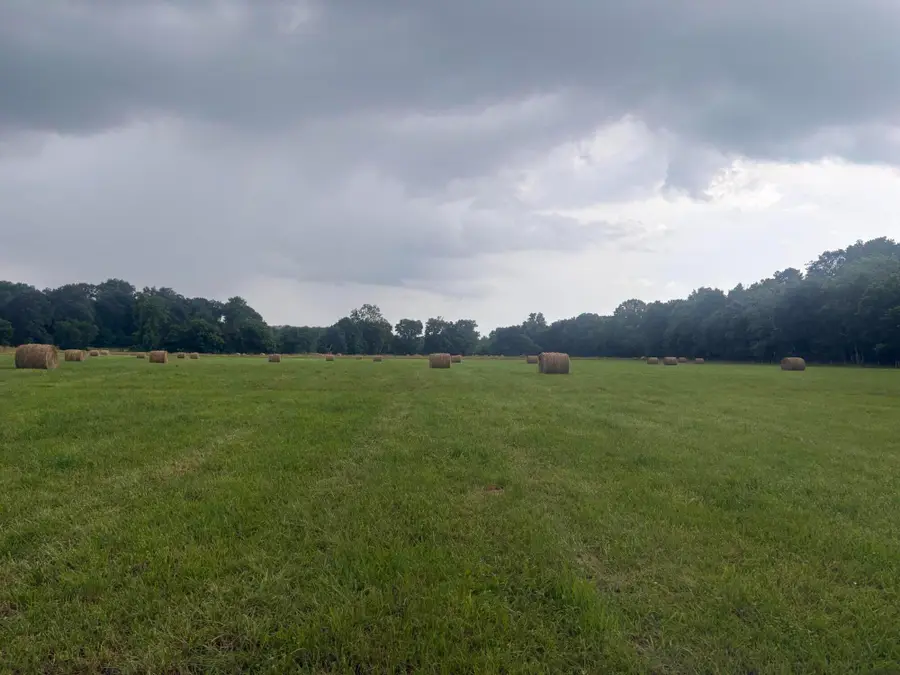 107 Hall Cemetery Road, Cadiz, KY 42211 - #2