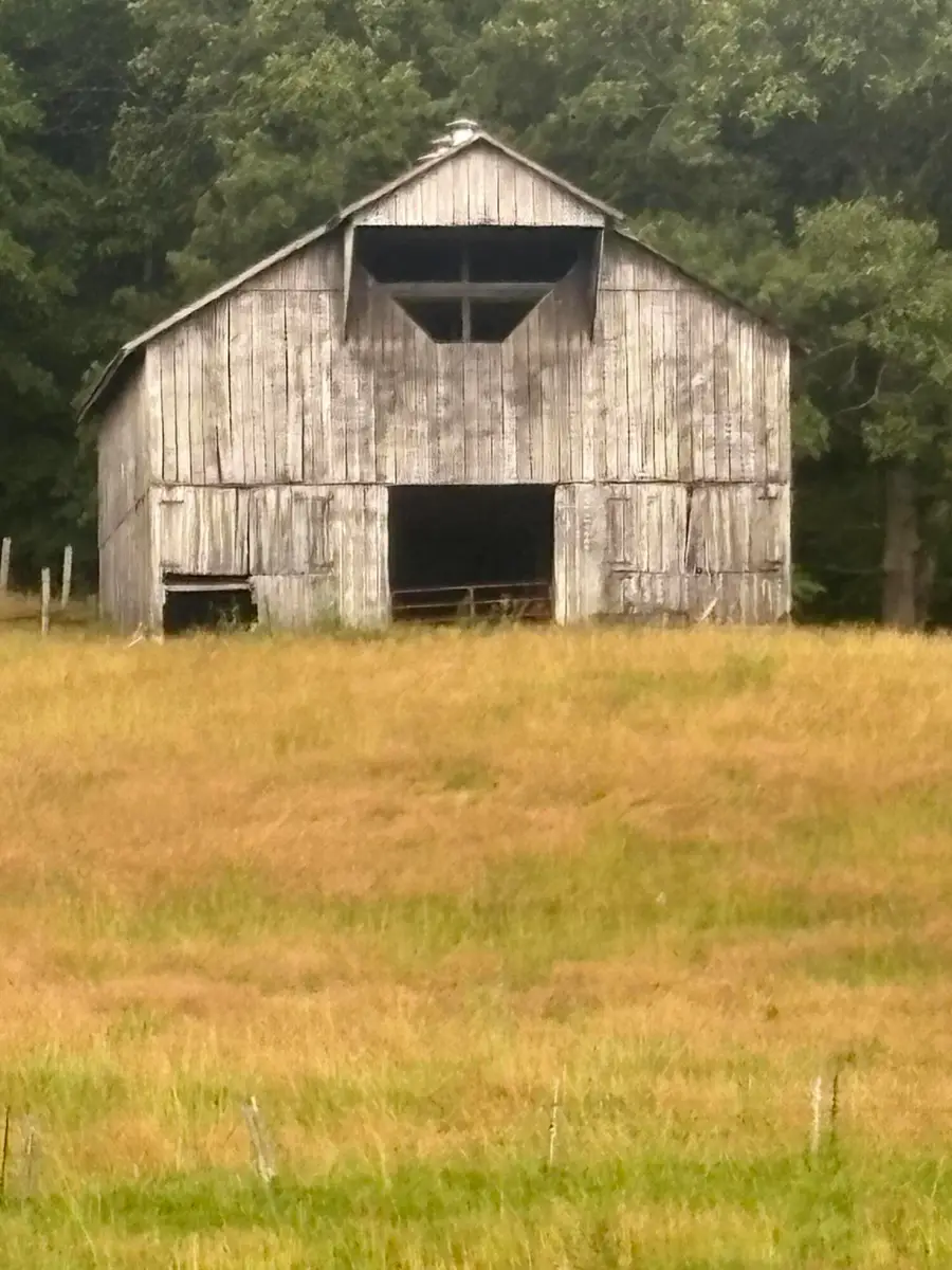 107 Hall Cemetery Road, Cadiz, KY 42211 - #3