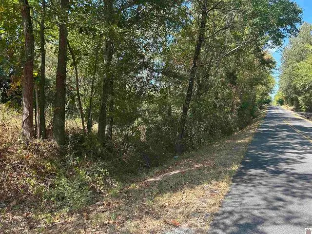 000 000 Briensburg Tatumsville Road Road, Benton, KY 42025 - #2
