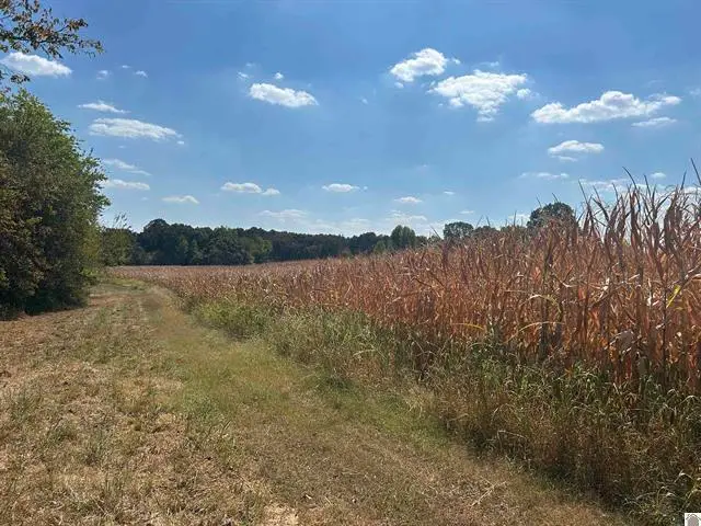 000 000 Briensburg Tatumsville Road Road, Benton, KY 42025 - #3