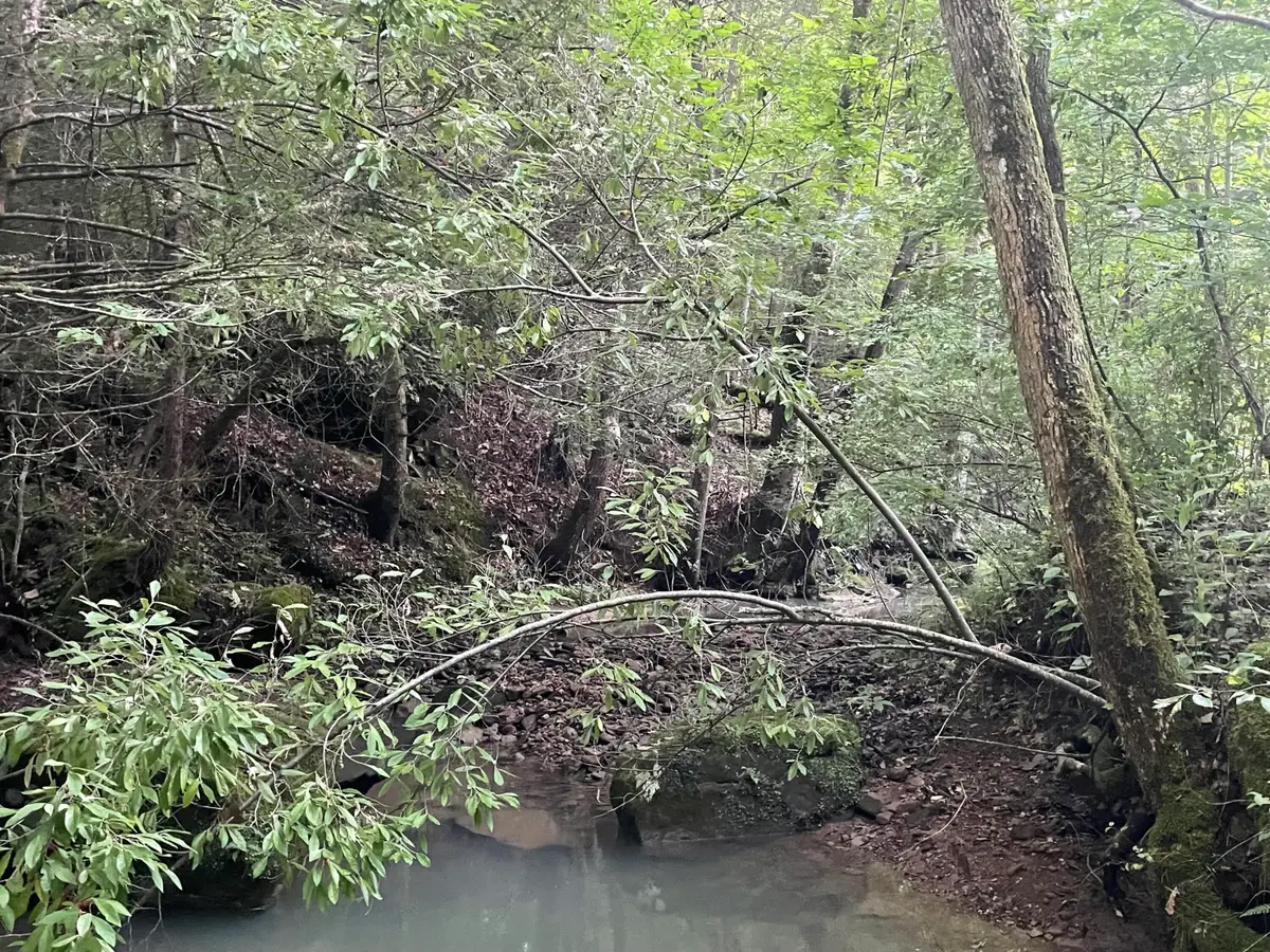 0 Little Rock Creek Road, Strunk, KY 42649 - #1