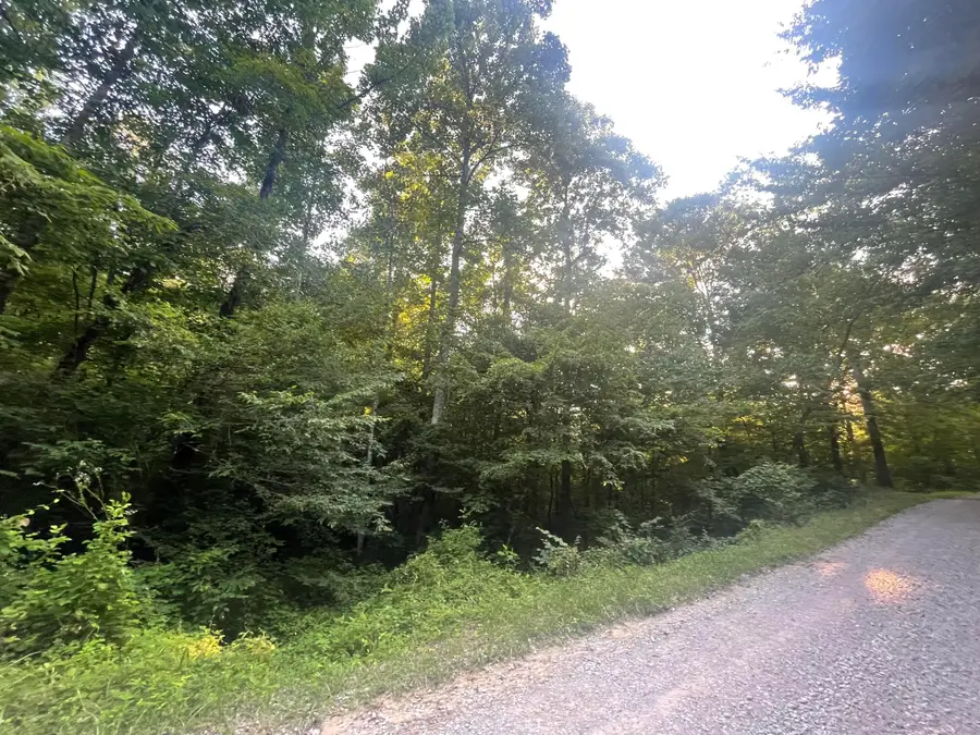 0 Little Rock Creek Road, Strunk, KY 42649 - #3