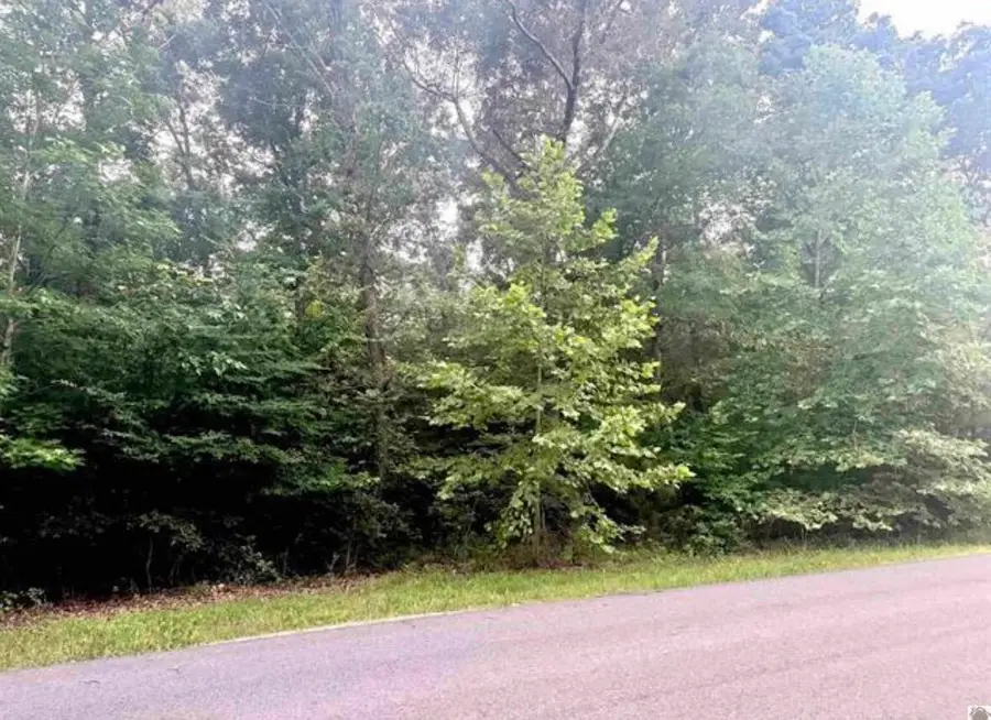 44 Mariner Lane, Murray, KY 42071 - #2