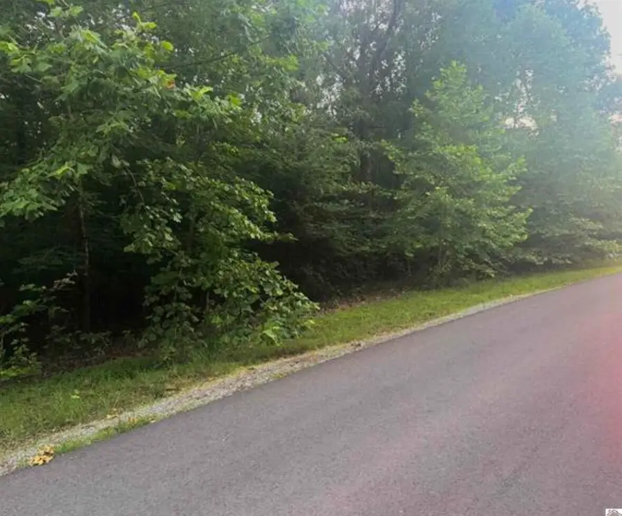44 Mariner Lane, Murray, KY 42071 - #3