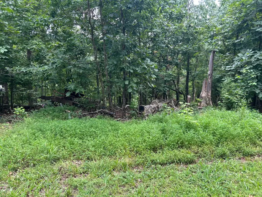 84 Mcclure Drive, Murray, KY 42071 - #3