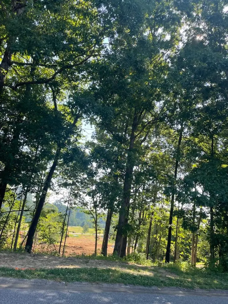280 Forest Ridge Drive, Paducah, KY 42003 - #3