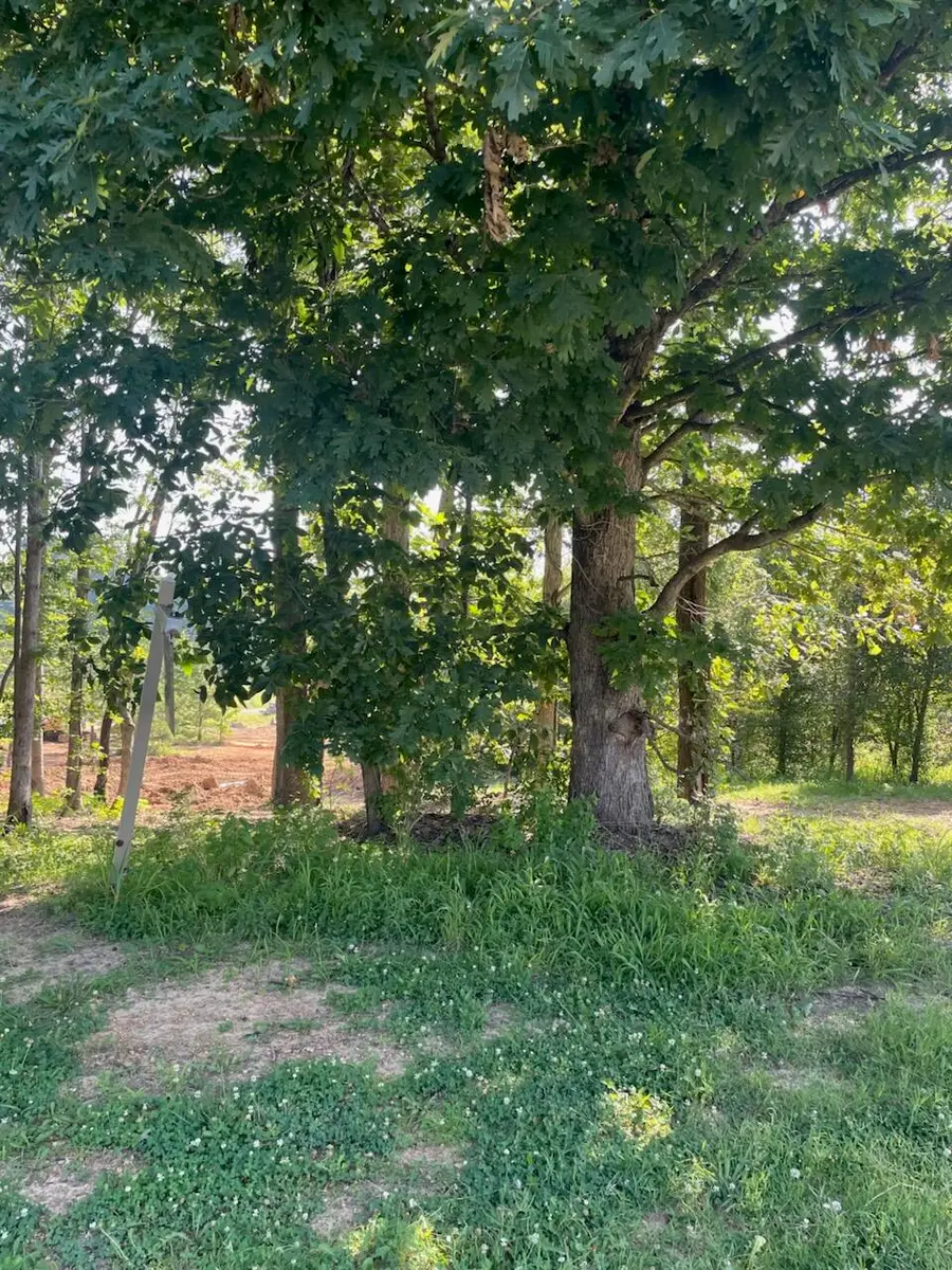 290 Forest Ridge Drive, Paducah, KY 42003 - #3