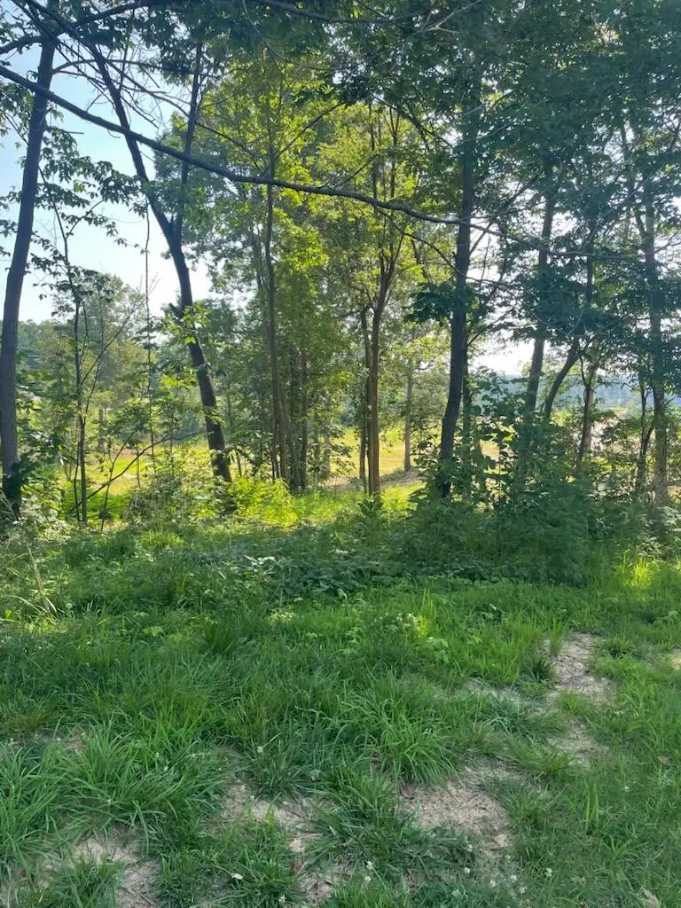240 Forest Ridge Drive, Paducah, KY 42003 - #3