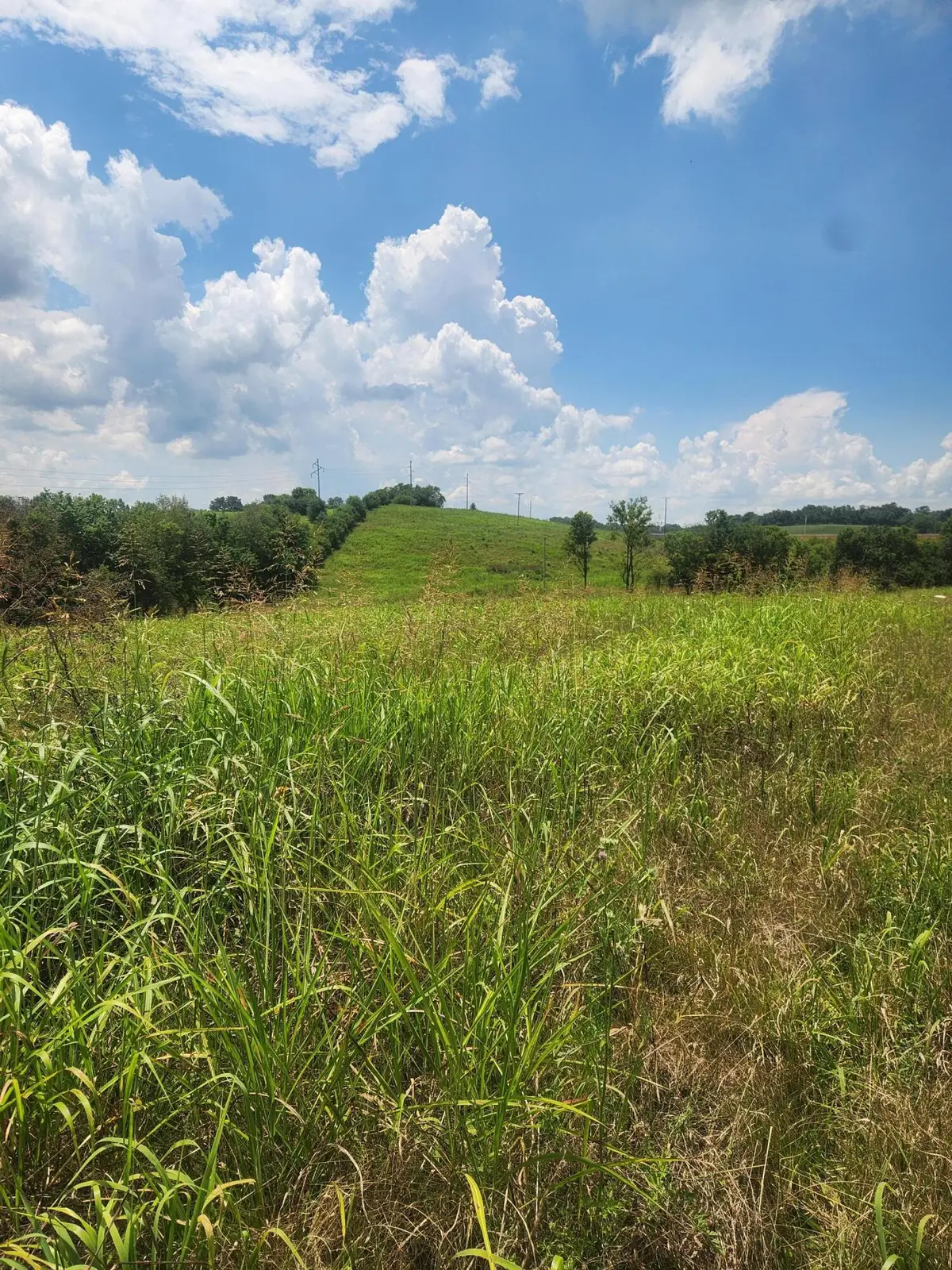 2145 Ruddles Mill Road, Paris, KY 40361 - #1