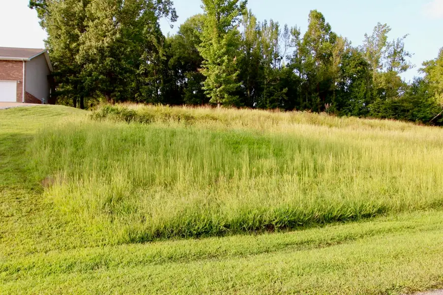 Lot 83 Kelsey Joe Lane, Eddyville, KY 42038 - #2
