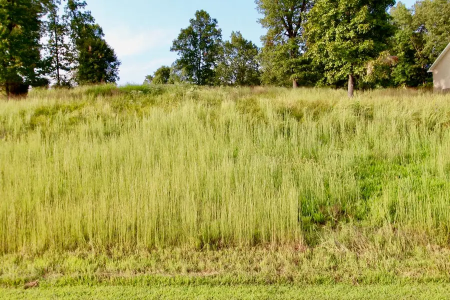 Lot 85 Kelsey Joe Lane, Eddyville, KY 42038 - #2