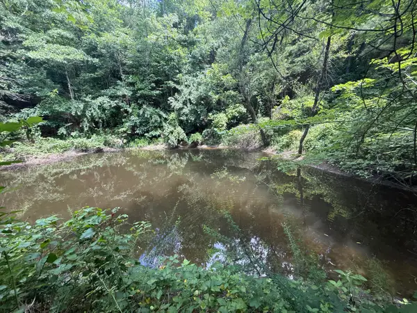 1191 W Adkins-arthur Road, Somerset, KY 42501