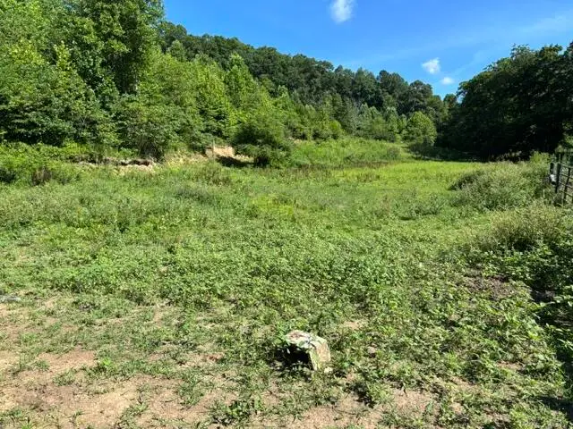 305 Pond Lick Road, Annville, KY 40402 - #3