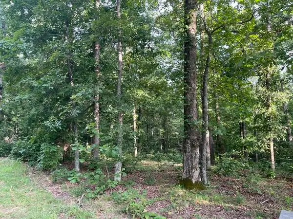 lot 99 Woodduck Lane Lane, Murray, KY 42071