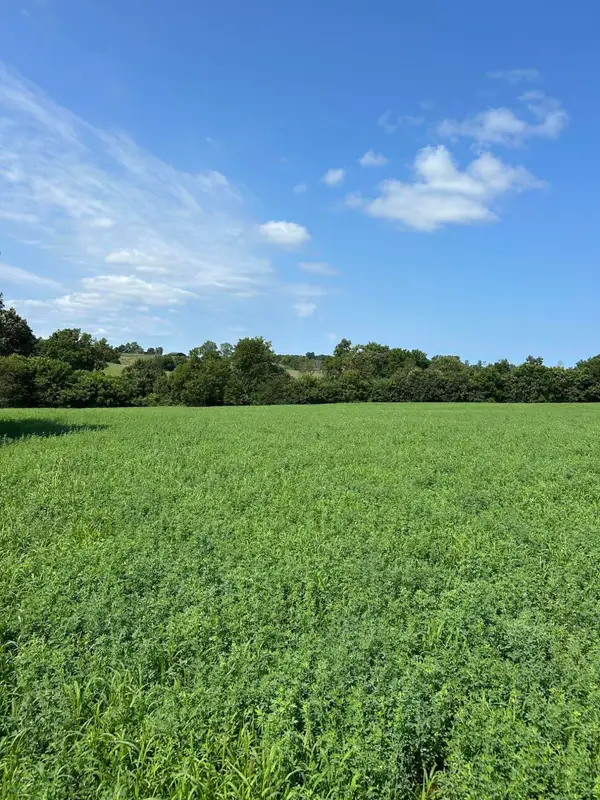 Lot #2 Lucy Lane, Cynthiana, KY 41031