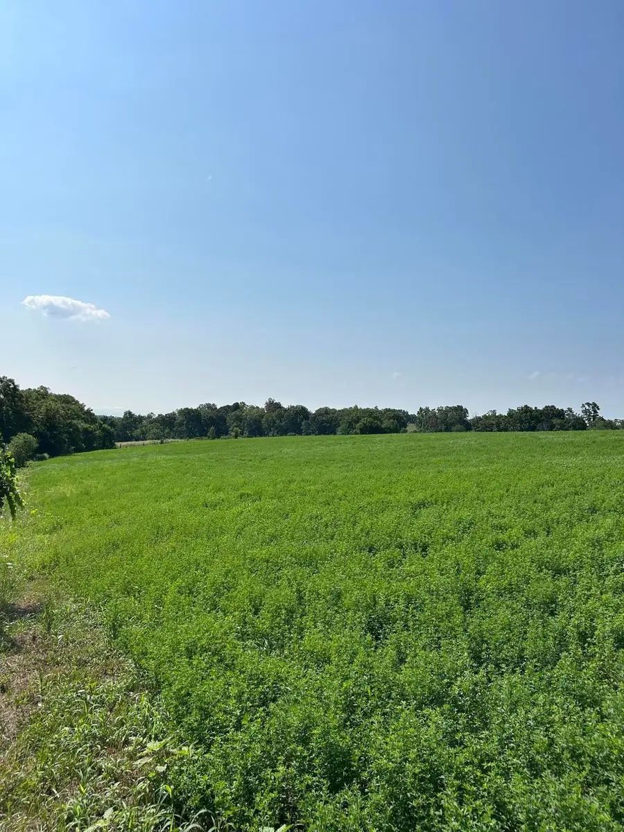 Lot #2 Lucy Lane, Cynthiana, KY 41031 - #2