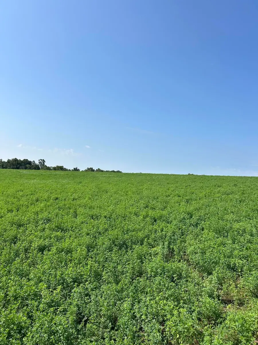Lot #2 Lucy Lane, Cynthiana, KY 41031 - #3