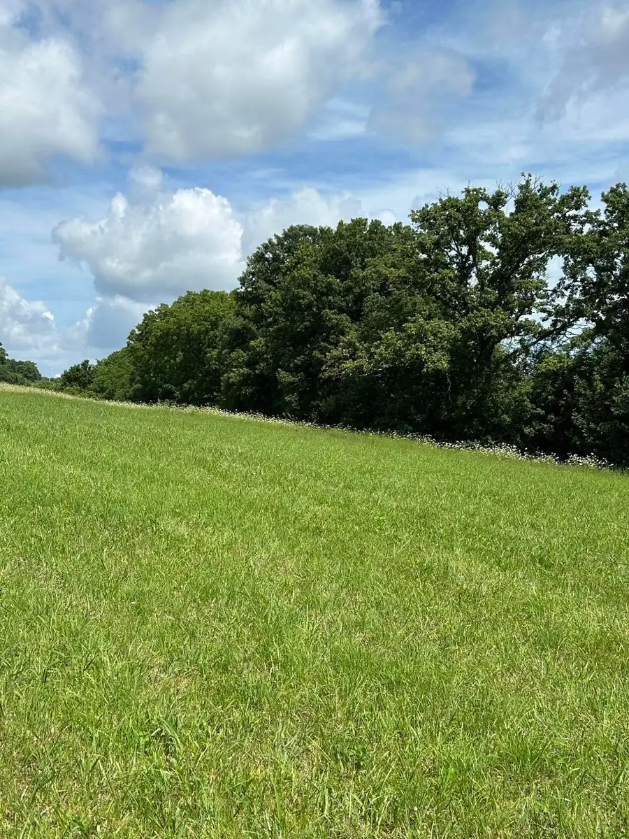 Lucy Lane Lot 3  Lucy Lane, Cynthiana, KY 41031 - #3