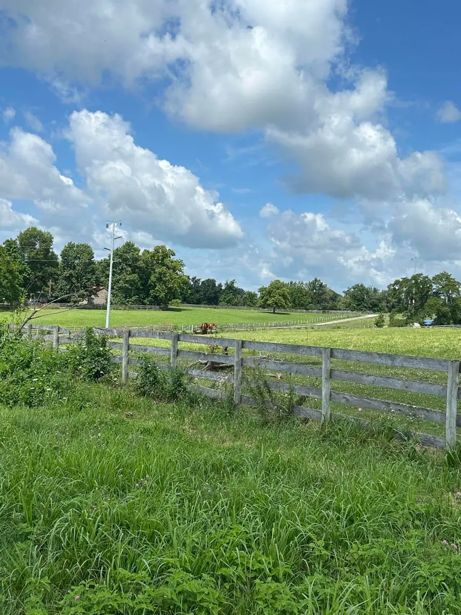 Lot #8  Lucy, Cynthiana, KY 41031 - #2