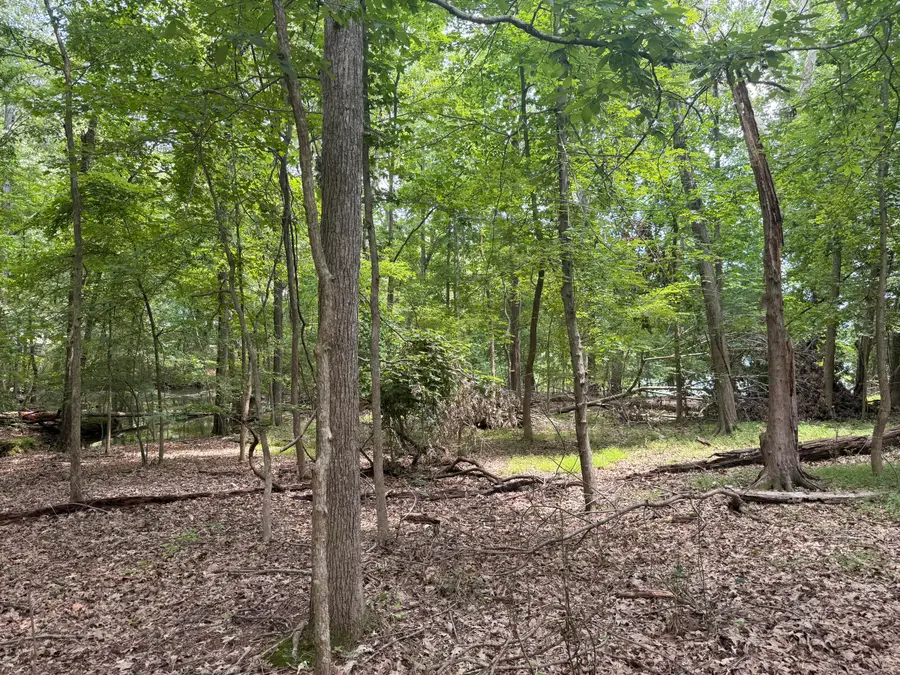 Map #61-0A-01-025 -028 Lakeview Club Road, Gilbertsville, KY 42044 - #3