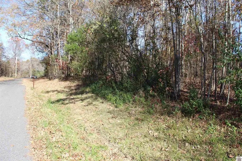 Lot 49 Backstrom Heights Road #63d-49, Eddyville, KY 42038 - #1